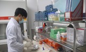 Vì sao Viện Pasteur Nha Trang ngưng xét nghiệm COVID-19?