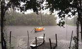 Người đàn bà chèo thuyền trên Đồng Tháp Mười