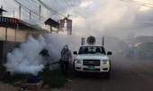 Chikungunya nguy hiểm đến mức nào?