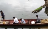 Cá trên sông Mã chết bất thường