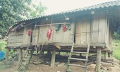 'Bệnh' thành tích lại trỗi dậy sau việc 20 người Mày chạy vào rừng trốn COVID-19?