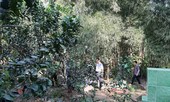 Khởi tố đại uý Công an nổ súng tại trường gà làm 1 người chết