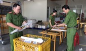 Thu giữ nhiều hung khí vận chuyển qua đường bưu điện