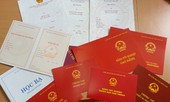 Kiểm tra, rà soát văn bằng chứng chỉ của cán bộ ở Phú Quốc