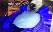 Công an vào cuộc vụ phóng hỏa đốt nhà, bỏ thuốc trừ sâu vào lu nước