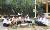 Chiếc bánh chưng nơi đảo xa