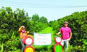 Mang khách bốn phương đến vườn cam sinh thái