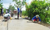 Đổi thay bộ mặt vùng đất chín Rồng