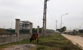 Lời giải nào cho khu công nghiệp: Vẽ cho nhiều... để bỏ hoang