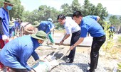 Cống hiến sức trẻ: Vượt khó tạo giá trị tích cực