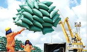 Xuất khẩu - động lực tăng trưởng cuối năm