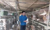 Bí thư Đoàn tiên phong