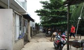 Nhiều doanh nghiệp bất động sản trắng dự án