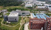 Phòng thí nghiệm Vũ Hán hé lộ về ba chủng virus corona dơi sống