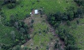 Mỹ cử quân đội sang Colombia làm gì?