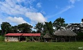 Panama phát hiện ngôi mộ tập thể, nghi hành động trừ tà của một giáo phái