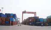 Mỗi năm các cảng biển Việt Nam thất thu 1 tỷ USD phí bốc dỡ container