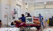 Ăn trứng cóc, 1 người tử vong, 7 người nguy kịch