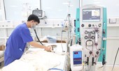 Ăn hạt củ đậu luộc, hai anh em trai ngộ độc nguy kịch