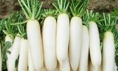 Củ cải trắng: Cực tốt và cực độc, biết mà tránh khi ăn kẻo rước họa vào thân