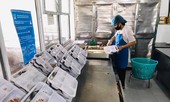 Cách ly và xét nghiệm 19 nhân viên Cty Trường Sinh tại BV Nội tiết TƯ