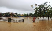 4,2 triệu viên sát khuẩn nước được cấp khẩn cấp cho vùng lũ miền Trung