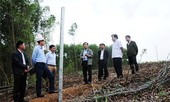 Vụ phá hoại rào cao tốc 11 nghìn tỷ: Phó Chủ tịch tỉnh chỉ đạo công an điều tra