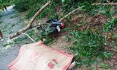 TT-Huế có thêm 2 trường hợp tử vong do bão số 5, gần 100 trường hợp bị thương