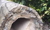 Hơn 400 cột điện đổ la liệt sau bão số 5: Tạm dừng sử dụng cột dự ứng lực
