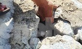 Công trình ngăn lũ gần 60 tỷ đồng chưa một lần chịu lũ đã vỡ nát