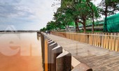 Nhìn gần cầu gỗ lim siêu sang xứ Huế sau vượt lũ báo động 3