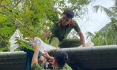 Quân đội, công an huy động 100% quân số ứng phó bão số 9