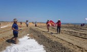 Lấp vịnh mở đường làm dự án, dân lo mất sinh kế