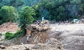 Quảng Nam cho doanh nghiệp thuê hơn 31.000m2 đất xây thủy điện tại huyện Nam Trà My