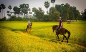 Đừng bao giờ để bất kỳ ai lấy đi giấc mơ của bạn