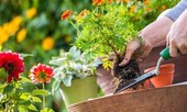 Bạn có đang góp phần gieo trồng thứ gì đáng để gặt hái bởi người khác không?
