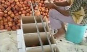Bác nông dân bán lựu có cách phân loại trái cây “đơn giản nhất”, khiến ai cũng bất ngờ