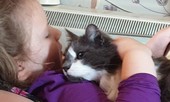 Cô bé viết thư cho mèo cưng trên Thiên Đường, bất ngờ nhận được món quà đặc biệt