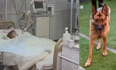 Bố mẹ mải tổ chức tiệc sinh nhật, cậu bé 2 tuổi bị chó nhà tấn công, cắn nát nhiều bộ phận