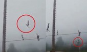Kinh hoàng khi dây bảo hộ bất ngờ đứt, thanh niên biểu diễn đu dây rơi từ độ cao 20 mét