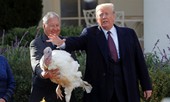 Tổng thống Trump có “tài tiên tri”, “dự báo” được chuyện của năm 2020 từ đúng 2 năm trước?