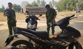 Bắt giữ đối tượng cướp ô tô, đánh cảnh sát để trốn khai báo y tế