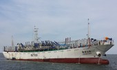THẾ GIỚI 24H: Phát hiện thi thể đông lạnh của ngư dân Indonesia trên tàu cá Trung Quốc