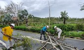 Các đơn vị thuộc Tập đoàn Dầu khí Việt Nam sẵn sàng sản xuất trở lại ngay sau bão số 9