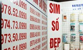 Số điện thoại đẹp, tên miền internet sẽ được đấu giá thế nào?