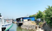 Ngang nhiên lấn chiếm, san lấp vùng cảng Sa Kỳ vì có ‘người nhà làm quan chức’?