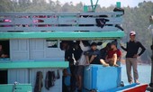 4 trong số 8 ngư dân Quảng Ngãi bị tàu Trung Quốc đâm chìm đã vào bờ an toàn