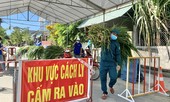 Tiếp tế lương thực cho…70 con bò trong khu cách ly