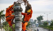 Tổng Cty Điện lực miền Trung lý giải nguyên nhân hàng loạt cột điện bị gãy trong bão số 5