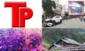 Bản tin Hình sự: Bất ngờ với lời khai của 9X về tác dụng của đèn chiếu sáng với cây cần sa